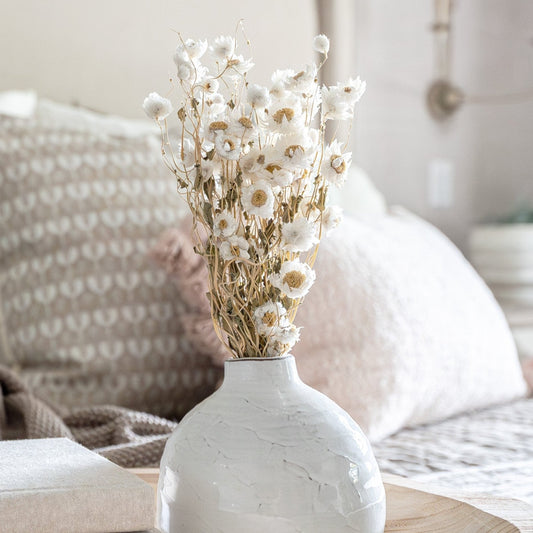 Preserved White Daisies